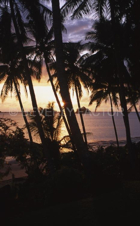 Island;Sunset;sky;clouds;sun;water;red;palm trees;sillouettes;ocean;fiji;colorful;yellow